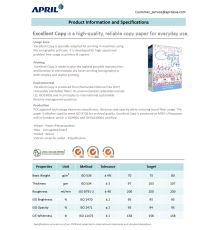 Carta fotocopie A4 Excellent copy 80gr - bianca - 500ff - in risma - bianco elevato - Certificata FSC,ECF,ECOLABEL,ISO9706