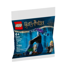 Lego Harry Potter - Draco nella Foresta Proibita - Lego 30677 - RARO - Lego Harry Potter Polybag Set 33pz Anni 6+ Lego Harry Potter - Draco nella Foresta Proibita - Lego 30677 - RARO - Lego Harry Potter Polybag Set 33pz Anni 6+