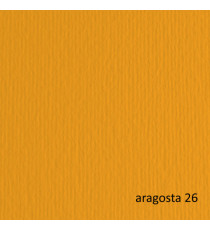 Cartoncino Elle Erre - 70x100cm - 220gr - aragosta 126 - Fabriano - blister 10 fogli