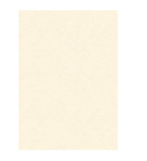 Diplomi in pergamena - stampa offset - A3 - 160 gr - neutro avorio - Kartos - conf. 10 pezzi