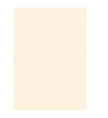 Diplomi in pergamena - stampa offset - A3 - 160 gr - neutro avorio - Kartos - conf. 10 pezzi