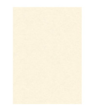 Diplomi in pergamena - stampa offset - A4 - 160 gr - neutro avorio - Kartos - conf. 10 pezzi