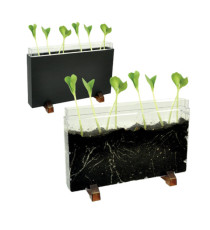 Contenitore Esplora il sottosuolo - 30 x 19 x 4 cm - Cwr