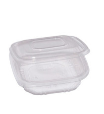 Contenitori in PP - con coperchio incernierato - 15,5 x 15,5 x 3,7 cm - Europack - conf. 50 pezzi Contenitori in PP - con coperchio incernierato - 15,5 x 15,5 x 3,7 cm - Europack - conf. 50 pezzi
