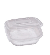 Contenitori in PP - con coperchio incernierato - 15,5 x 15,5 x 3,7 cm - Europack - conf. 50 pezzi Contenitori in PP - con coperchio incernierato - 15,5 x 15,5 x 3,7 cm - Europack - conf. 50 pezzi
