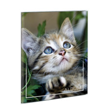 Album portafoto a busta saldato - assortiti - 23 x 30cm - contiene fino a 80 foto da 14x19cm - Lebez Album portafoto a busta saldato - assortiti - 23 x 30cm - contiene fino a 80 foto da 14x19cm - Lebez