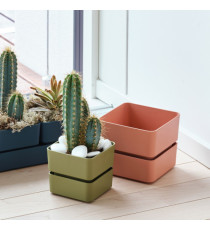 Vaso Veleta - 0,75 L - verde oliva - TeraPlast Vaso Veleta - 0,75 L - verde oliva - TeraPlast