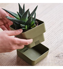 Vaso Veleta - 0,75 L - verde oliva - TeraPlast Vaso Veleta - 0,75 L - verde oliva - TeraPlast