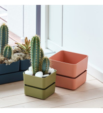 Vaso Veleta - 0,75 L - verde oliva - TeraPlast Vaso Veleta - 0,75 L - verde oliva - TeraPlast