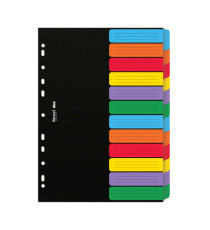 Separatore Dox - 12 tasti neutri colorati - cartoncino 240 gr - A4 - multicolore - Esselte Dox Separatore Dox - 12 tasti neutri colorati - cartoncino 240 gr - A4 - multicolore - Esselte Dox