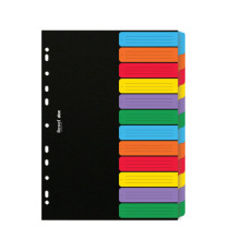Separatore Dox - 12 tasti neutri colorati - cartoncino 240 gr - A4 - multicolore - Esselte Dox Separatore Dox - 12 tasti neutri colorati - cartoncino 240 gr - A4 - multicolore - Esselte Dox