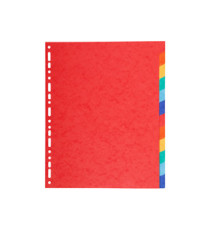 Separatore Forever - 12 tacche - cartoncino riciclato 220 gr - A4 maxi - multicolore - Exacompta Separatore Forever - 12 tacche - cartoncino riciclato 220 gr - A4 maxi - multicolore - Exacompta