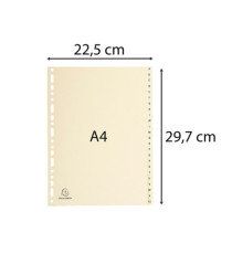Separatori - 24 tasti A-Z - cartoncino - A4 - avorio - Exacompta Separatori - 24 tasti A-Z - cartoncino - A4 - avorio - Exacompta