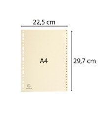 Separatori - 24 tasti A-Z - cartoncino - A4 - avorio - Exacompta Separatori - 24 tasti A-Z - cartoncino - A4 - avorio - Exacompta