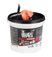 Salviette umidificate Sandy Wipes - in secchiello - 26 x 27 cm - Nettuno - conf. 100 pezzi