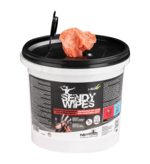 Salviette umidificate Sandy Wipes - in secchiello - 26 x 27 cm - Nettuno - conf. 100 pezzi