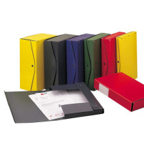 Scatola archivio Project - dorso 15 cm - 25 x 35 cm - giallo - Esselte Scatola archivio Project - dorso 15 cm - 25 x 35 cm - giallo - Esselte