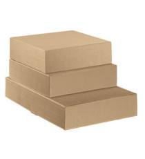 Scatola cantinetta - 2 bottiglie - 34 x 18,5 x 9 cm - cartone onda - avana - Scotton Scatola cantinetta - 2 bottiglie - 34 x 18,5 x 9 cm - cartone onda - avana - Scotton