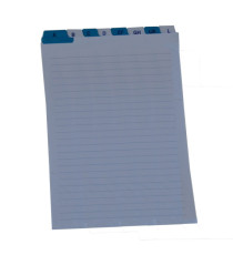 Schede - rubrica A/Z -  24x17 cm (verticale) - bianco - Edipro Schede - rubrica A/Z -  24x17 cm (verticale) - bianco - Edipro