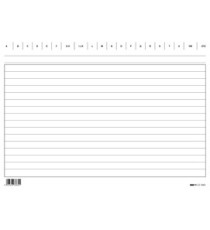 Schede in cartoncino rigate - 17 x 24 cm orizzontale - Edipro - conf. 100 pezzi