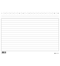 Schede in cartoncino rigate - 17 x 24 cm orizzontale - Edipro - conf. 100 pezzi