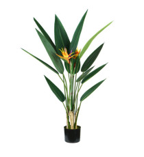 Pianta ornamentale Sterlizia - artificiale - 12 foglie e 2 fiori - 120 cm - PE - King Collection Pianta ornamentale Sterlizia - artificiale - 12 foglie e 2 fiori - 120 cm - PE - King Collection