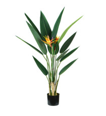 Pianta ornamentale Sterlizia - artificiale - 12 foglie e 2 fiori - 120 cm - PE - King Collection Pianta ornamentale Sterlizia - artificiale - 12 foglie e 2 fiori - 120 cm - PE - King Collection