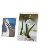 Portadepliant A4 - PVC semirigido - Lebez Portadepliant A4 - PVC semirigido - Lebez