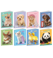 Maxiquaderno City Pet 2024 - A4 - 4 mm - c/margine - 21 fogli - 80 gr - Blasetti Maxiquaderno City Pet 2024 - A4 - 4 mm - c/margine - 21 fogli - 80 gr - Blasetti