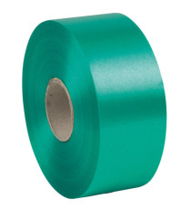 Nastro liscio 6800 - in polipropilene - 50mmx100mt - verde bandiera 09 - Brizzolari Nastro liscio 6800 - in polipropilene - 50mmx100mt - verde bandiera 09 - Brizzolari