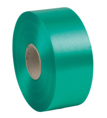 Nastro liscio 6800 - in polipropilene - 50mmx100mt - verde bandiera 09 - Brizzolari Nastro liscio 6800 - in polipropilene - 50mmx100mt - verde bandiera 09 - Brizzolari