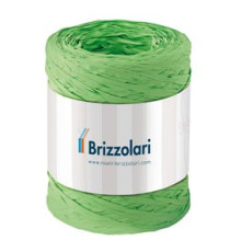 Nastro Rafia sintetica - verde chiaro 10 - 5mmx200mt - Brizzolari Nastro Rafia sintetica - verde chiaro 10 - 5mmx200mt - Brizzolari