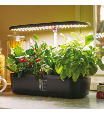 Orto idroponico indoor - 20 x 18 x 40 cm - Verdemax Orto idroponico indoor - 20 x 18 x 40 cm - Verdemax