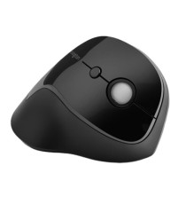 Mouse Pro Fit Ergo wireless verticale - Kensington Mouse Pro Fit Ergo wireless verticale - Kensington