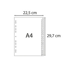 Intercalare alfabetico - PP riciclato - A4 - A-Z - grigio - Exacompta