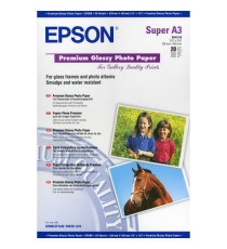 Epson - Carta Fotografica Lucida Premium - C13S041316