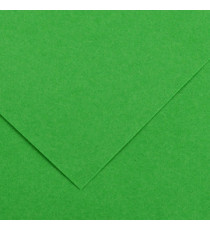 Foglio Colorline - 70x100 cm - 220 gr - verde brillante - Canson Foglio Colorline - 70x100 cm - 220 gr - verde brillante - Canson