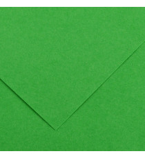 Foglio Colorline - 70x100 cm - 220 gr - verde brillante - Canson Foglio Colorline - 70x100 cm - 220 gr - verde brillante - Canson