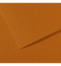 Foglio Mi-Teintes - A4 - 160 gr - avana chiaro - Canson Foglio Mi-Teintes - A4 - 160 gr - avana chiaro - Canson
