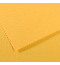 Foglio Mi-Teintes - A4 - 160 gr - botton d'oro - Canson Foglio Mi-Teintes - A4 - 160 gr - botton d'oro - Canson