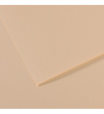 Foglio Mi-Teintes - A4 - 160 gr - conchiglia - Canson Foglio Mi-Teintes - A4 - 160 gr - conchiglia - Canson