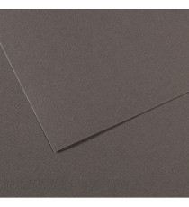 Foglio Mi-Teintes - A4 - 160 gr - grigio ardesia - Canson Foglio Mi-Teintes - A4 - 160 gr - grigio ardesia - Canson