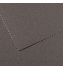 Foglio Mi-Teintes - A4 - 160 gr - grigio ardesia - Canson Foglio Mi-Teintes - A4 - 160 gr - grigio ardesia - Canson