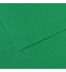 Foglio Mi-Teintes - A4 - 160 gr - verde biliardo - Canson Foglio Mi-Teintes - A4 - 160 gr - verde biliardo - Canson