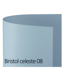 Cartoncino Bristol Color - 50 x 70 cm - 200 gr - celeste 08 - Favini - conf. 25 pezzi Cartoncino Bristol Color - 50 x 70 cm - 200 gr - celeste 08 - Favini - conf. 25 pezzi