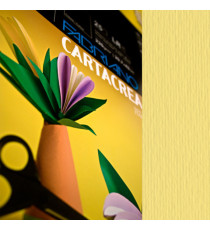 Cartoncino CartaCrea - 35x50cm - 220gr - onice 117 - Fabriano - blister 10 fogli Cartoncino CartaCrea - 35x50cm - 220gr - onice 117 - Fabriano - blister 10 fogli