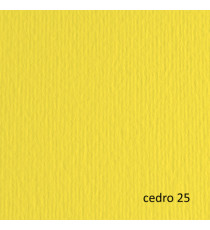 Cartoncino Elle Erre - 50x70cm - 220gr - cedro 25 - Fabriano - blister 20 fogli Cartoncino Elle Erre - 50x70cm - 220gr - cedro 25 - Fabriano - blister 20 fogli