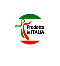 Cartella sospesa Cartesio - cassetto - interasse 39 cm - fondo U 30 mm - 37x25 cm - arancio - Bertesi Cartella sospesa Cartesio - cassetto - interasse 39 cm - fondo U 30 mm - 37x25 cm - arancio - Bertesi