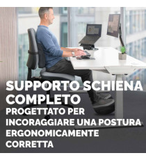 Cuscino Lombare Confort Breyta - 33 x 38 x 9 cm - in tessuto - nero - Fellowes