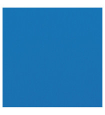 Copertine HiGloss per rilegatura - A4 - cartoncino lucido - blu - 250 gr - GBC - conf. 100 pezzi Copertine HiGloss per rilegatura - A4 - cartoncino lucido - blu - 250 gr - GBC - conf. 100 pezzi